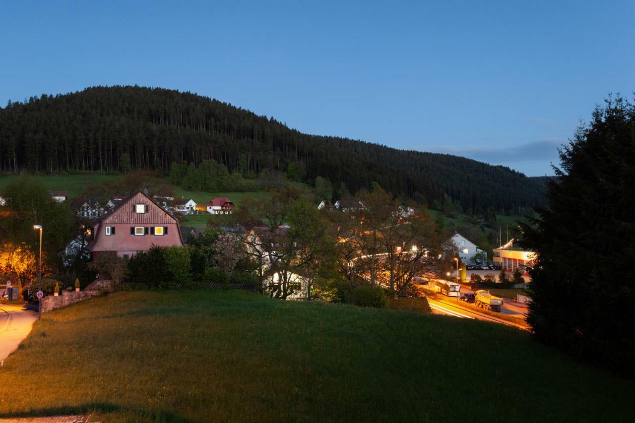Hotel Petra Байерсброн Екстериор снимка